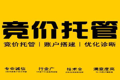 百度推广实战案例：优化广告投放策略